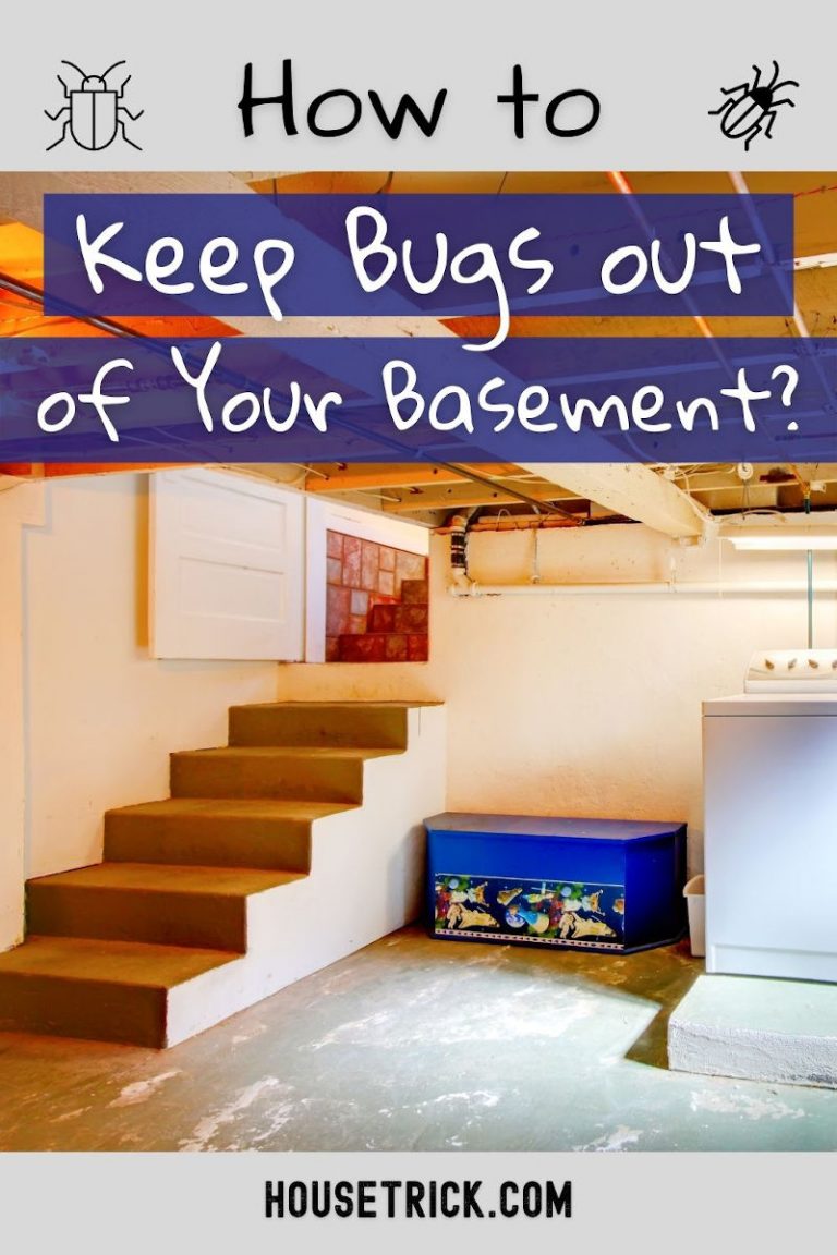 How to Keep Bugs Out of Your Basement? House Trick