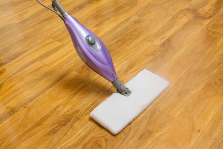 Best Steam Mop For Laminate Floors House Trick