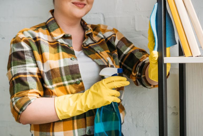 Best Dusting Sprays for a Clean, DustFree Home House Trick