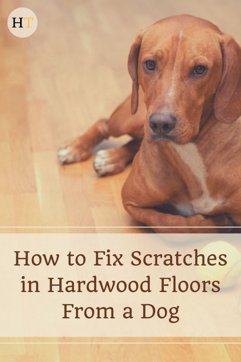 How to Fix Scratches in Hardwood Floors From a Dog » House Trick