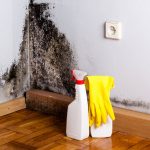 Does bleach kill black mold.