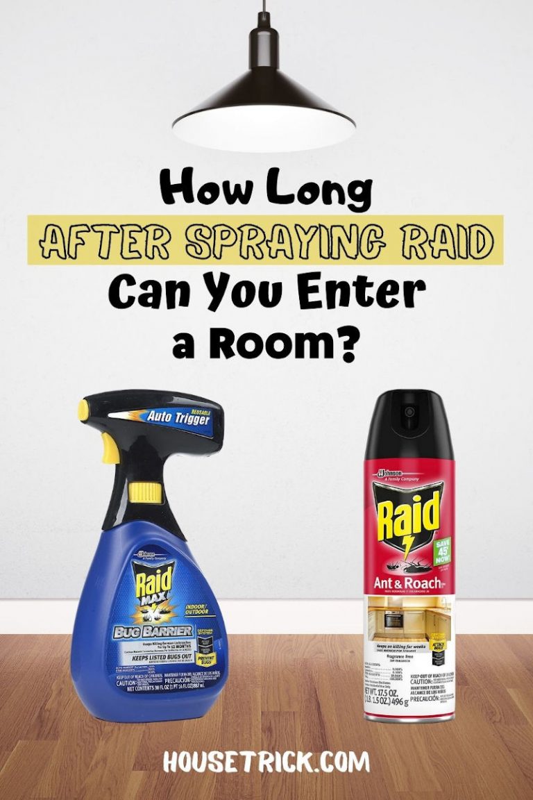 How Long After Spraying Raid Can You Enter a Room? House Trick