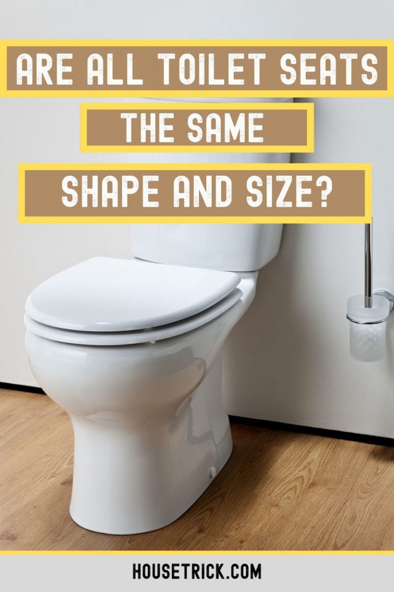 Are All Toilet Seats the Same Shape and Size? (Toilet Seat Types