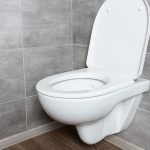 Various toilet seat shapes.