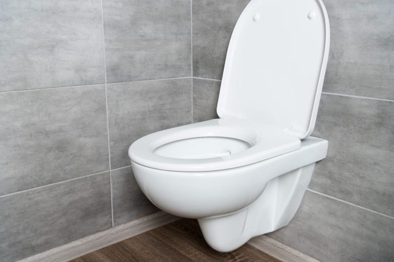 Are All Toilet Seats the Same Shape and Size? (Toilet Seat Types