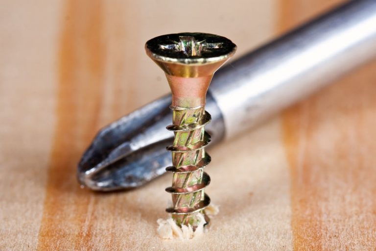 How Much Weight Can a Screw Hold? Influencing Factors » House Trick