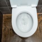 The causes behind slow toilet drains.