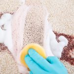 Cleaning a carpet with the best natural cleaning mixtures.
